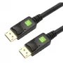 Techly Audio/Video DisplayPort-Kabel M/M 2m Schwarz ICOC DSP-A-020