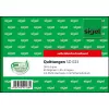 Geschäftsformular Sigel SD023 Grün A6 Q 120 Blatt