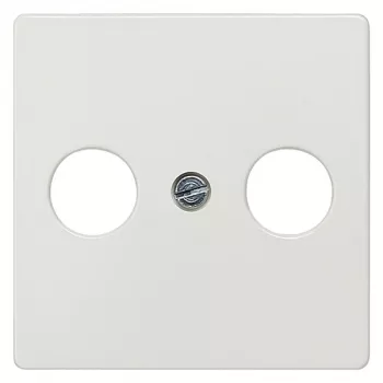 Siemens 5TG2561 Wandplatte/Schalterabdeckung