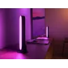 Philips Hue Play light bars Starter-Kit – 2 Play light bars + Hue Bridge Pro, Bluetooth, schwarz, Typ-C-Stecker