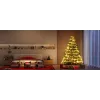 Govee Smart-Lichterkette 2S 20 m, Wi‑Fi/Bluetooth, grün, 20 m Länge, 2,5 m Netzkabel, 6 mm Breite