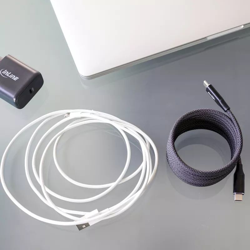 InLine Magnetisches USB-C-Kabel, USB-C Stecker/Stecker, 100 W, schwarz, 1 m