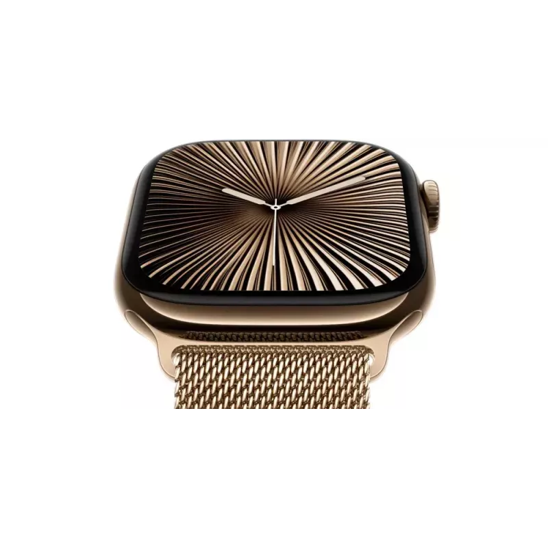 Smartwatch Apple Watch Series 10 GPS + Cellular 46mm Schiefer-Titan-Gehäuse Schwarz