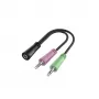 Hama 00200351 Audiokabel 0,15 m 3,5 mm TRS 2 x 3,5 mm Schwarz