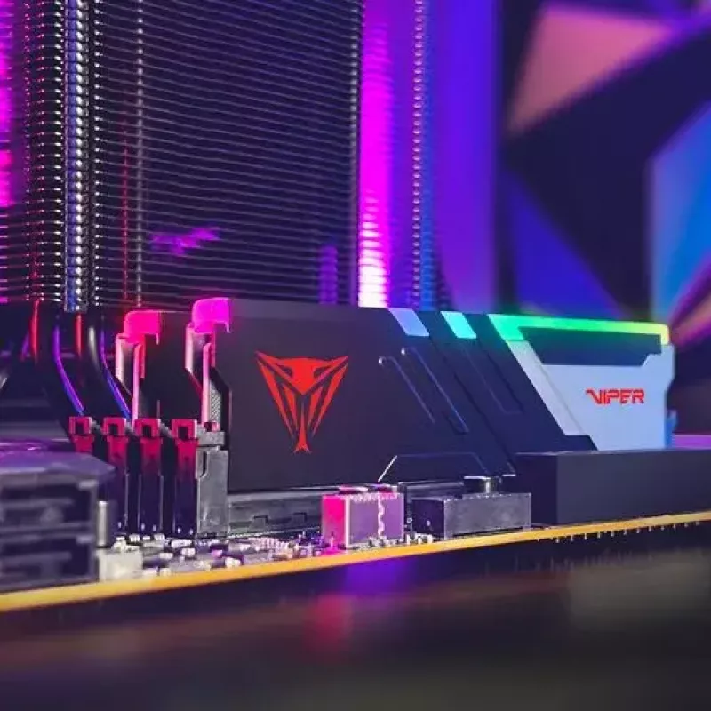 64 GB Patriot DIMM 5200 (2x 32 GB) Dual-Kit (schwarz, PVVR564G520C40K, Viper Venom RGB, INTEL XMP)