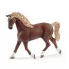 Animal Schleich HORSE CLUB Waschplatz mit Emily & Luna