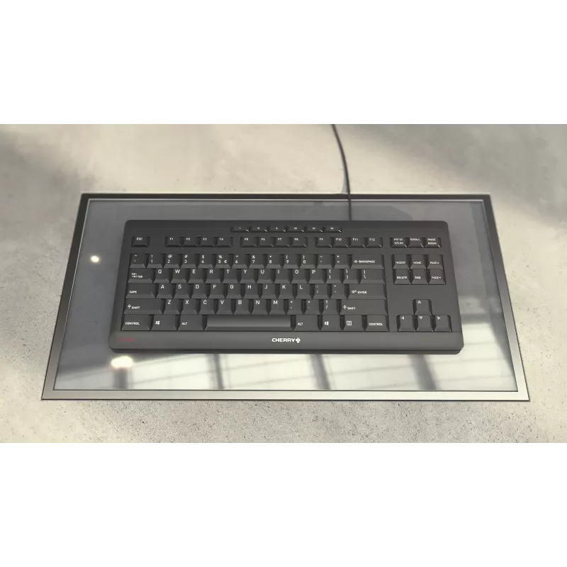 CHERRY STREAM KEYBOARD TKL, kabelgebundenes USB, US-Layout mit Euro-Symbol, hellgrau (JK-8600EU-0)