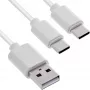 InLine 35121W USB-Kabel USB 2.0 1 m USB A 2 x USB C Weiß