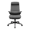Büro-/Gaming-Stuhl Cougar Stryder — Sitz und Rückenlehne aus Stoff, grau, Stellfläche 710 × 675 mm, Höhe min. 115 cm