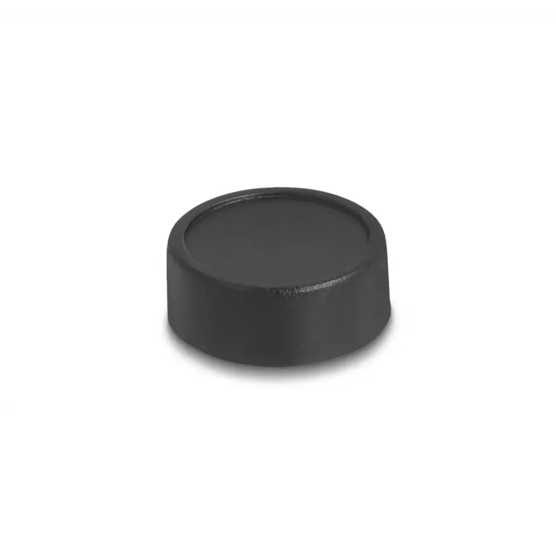 Webcam DeLOCK 12069 2.1 MP 1920 x 1080 Pixel USB 2.0 Schwarz