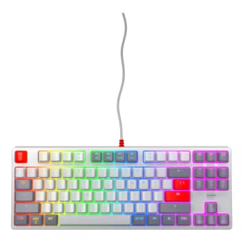 CHERRY XTRFY K4V2 TKL (80%) Retro Tastatur, kabelgebunden, RGB, QWERTY US-Layout