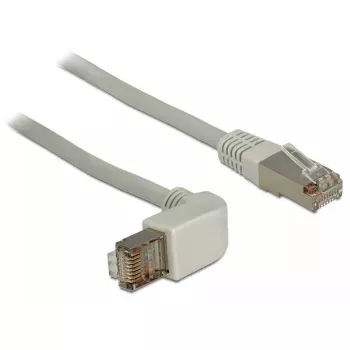Netzwerkkabel DeLOCK 1m RJ-45 Cat6a Grau
