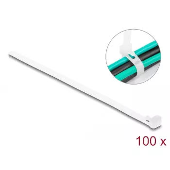 DeLOCK wiederverwendbare Kabelbinder, 200 x 7.2 mm, weiß, 100 Stück
