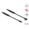 USB-Kabel DeLOCK 81196 5m USB-C Schwarz 10 Gbit/s