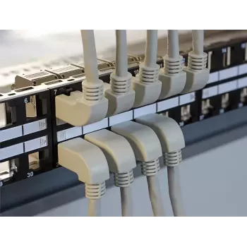 Netzwerkkabel DeLOCK 2 m Cat.5e SFTP