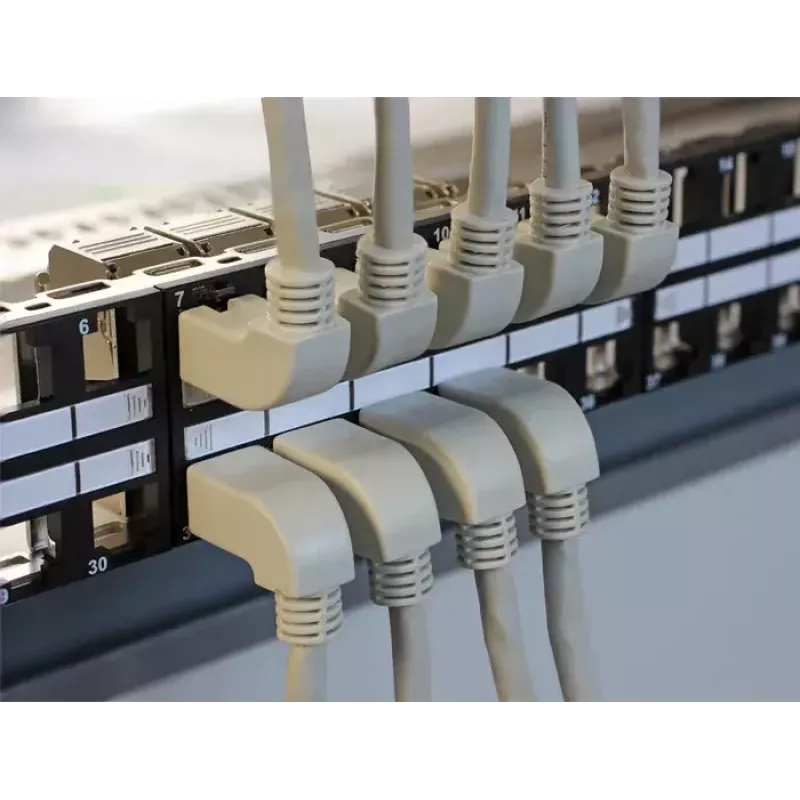 Netzwerkkabel DeLOCK 2 m Cat.5e SFTP