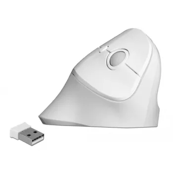 Maus DeLOCK 12596 Office Rechtshänder RF Wireless 1600 DPI