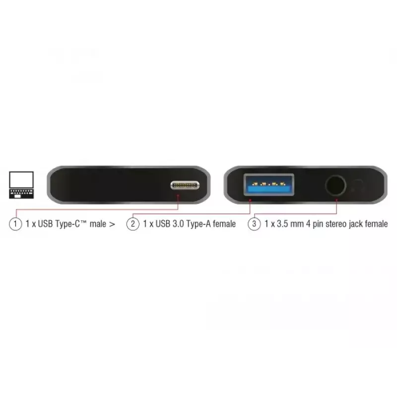 DeLOCK 63965 USB-C Audio-Adapter, 3,5-mm-Klinkenbuchse + USB-A, Anthrazit