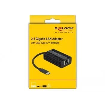 DeLOCK 65990 USB Type-C auf 2.5 Gigabit LAN Adapter, Schwarz