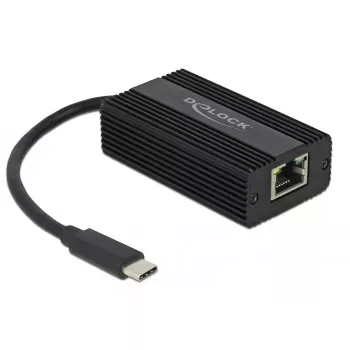 DeLOCK 65990 USB Type-C auf 2.5 Gigabit LAN Adapter, Schwarz