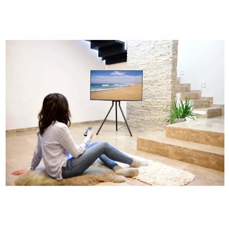 Hama 00220870 Staffelei-TV-Ständer, freistehend, höhenverstellbar, bis 75 Zoll (190,5 cm), VESA 600x400, bis 40 kg, Schwarz