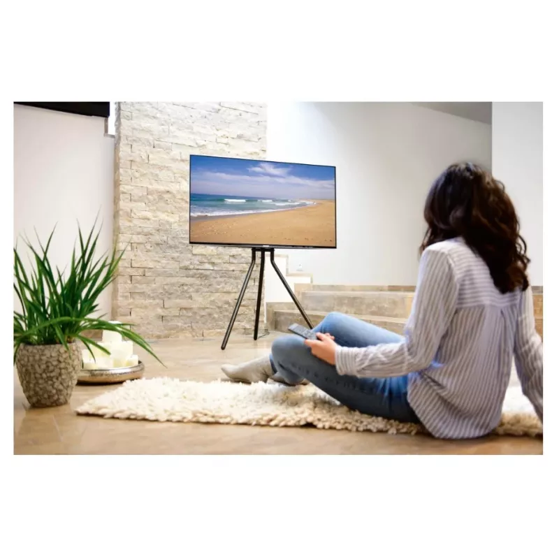 Hama 00220870 Staffelei-TV-Ständer, freistehend, höhenverstellbar, bis 75 Zoll (190,5 cm), VESA 600x400, bis 40 kg, Schwarz