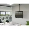 Hama 00220878 TV-Deckenhalterung, schwenkbar/neigbar, höhenverstellbar, 165 cm (65 Zoll), VESA 400x400, bis 50 kg