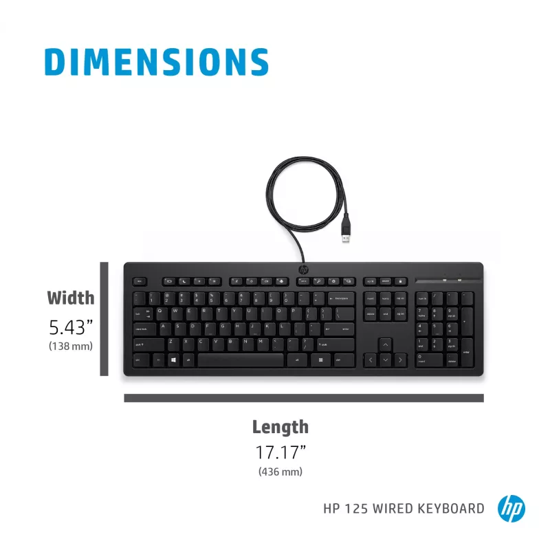 HP 125 Kabelgebundene Tastatur Full-Size USB Membran QWERTY Schwarz