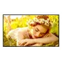 LG 75UL5Q-E Signage Display Digital Signage Flachbildschirm 190,5 cm (75 Zoll) LED WLAN 500 cd/m² 4K Ultra HD Schwarz WebOS 24/7