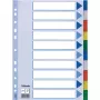 Esselte Trennblatt PP A4 Blankoregister Mehrfarbig 225x297mm