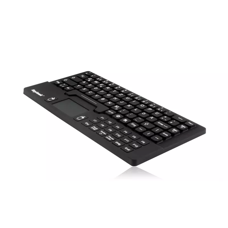 KeySonic KSK-5031IN (DE) Tastatur Universal USB QWERTZ Deutsch Schwarz