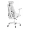 PC-Gaming-Stuhl Asus ROG Destrier Ergo Core White — Mesh-Sitzfläche, maximale Belastung 136 kg, Breite 720 mm, Tiefe 840 mm, Höhe 129–137,5 cm