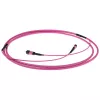 ACT 30 Meter Multimode 50/125 OM4(OM3) Polarität A Glasfaser-Trunkkabel mit MTP/MPO-Buchsen