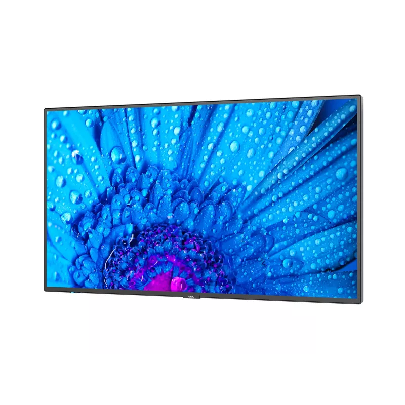 NEC MultiSync M491 Digital Signage Flachbildschirm 124,5 cm (49 Zoll) IPS 500 cd/m² 4K Ultra HD Schwarz 24/7