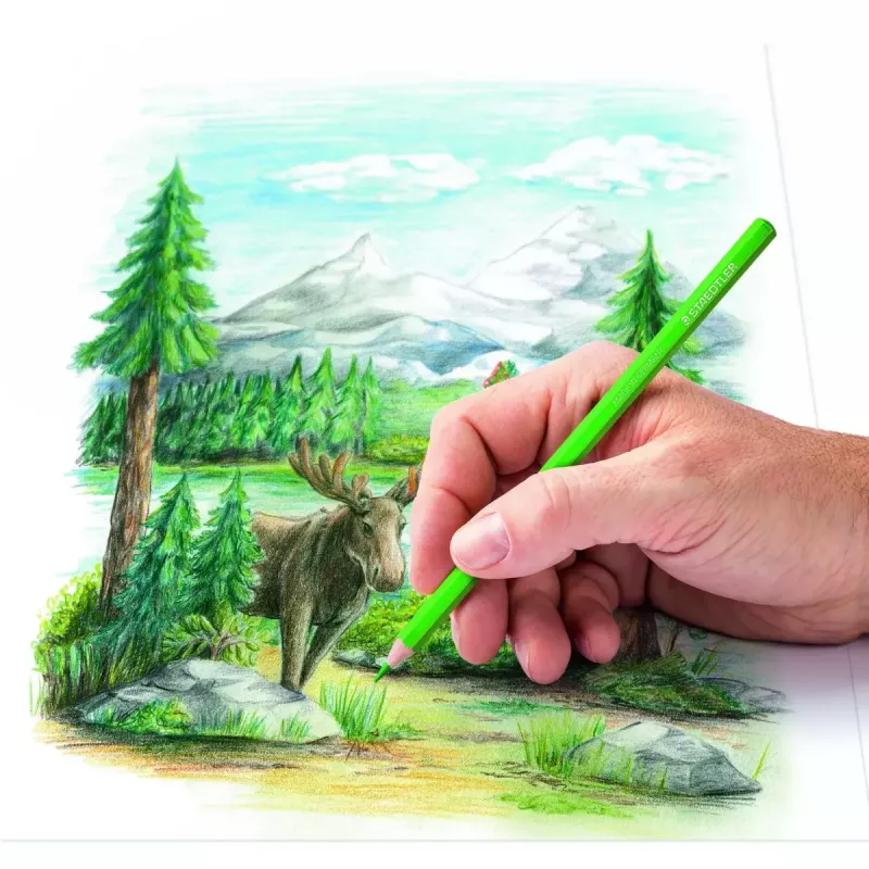Buntstifte Staedtler 146C Mehrfarbig 24 Stück