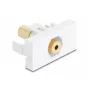 DeLOCK Easy 45 Modul, 3,5-mm-Klinkenbuchse 4-polig auf Klinkenbuchse, vergoldet, Weiß (90841)