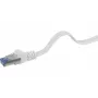 Netzwerkkabel Renkforce RF-4149846 Cat6a U/FTP 5m Grau