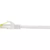 Netzwerkkabel Renkforce RF-4149861 0,5 m Cat6a S/FTP