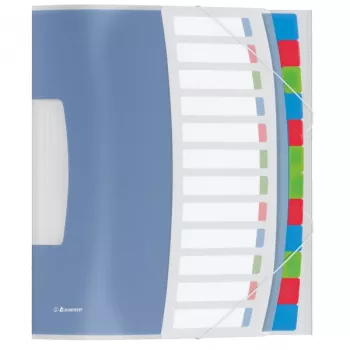 Esselte Divider Book Vivida PP 12 tabs, Blau, Mehrfarbig, Polyvinylchlorid (PVC), A4, 266 mm, 20 mm, 320 mm
