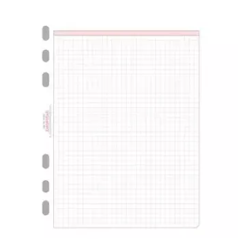 Avery Zweckform Chronoplan 50304 karierte Einlageblätter für A5-Planer, 50 Blatt, 80 g/m²