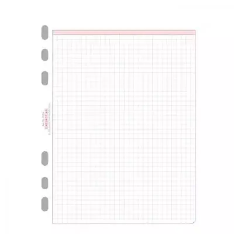 Avery Zweckform Chronoplan 50304 karierte Einlageblätter für A5-Planer, 50 Blatt, 80 g/m²