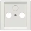 Siemens 5TG1338-1 Wandplatte/Schalterabdeckung