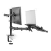 ACT AC8305 Notebook-Ständer und Monitorarm, 15,6 Zoll (39,6 cm), schwarz