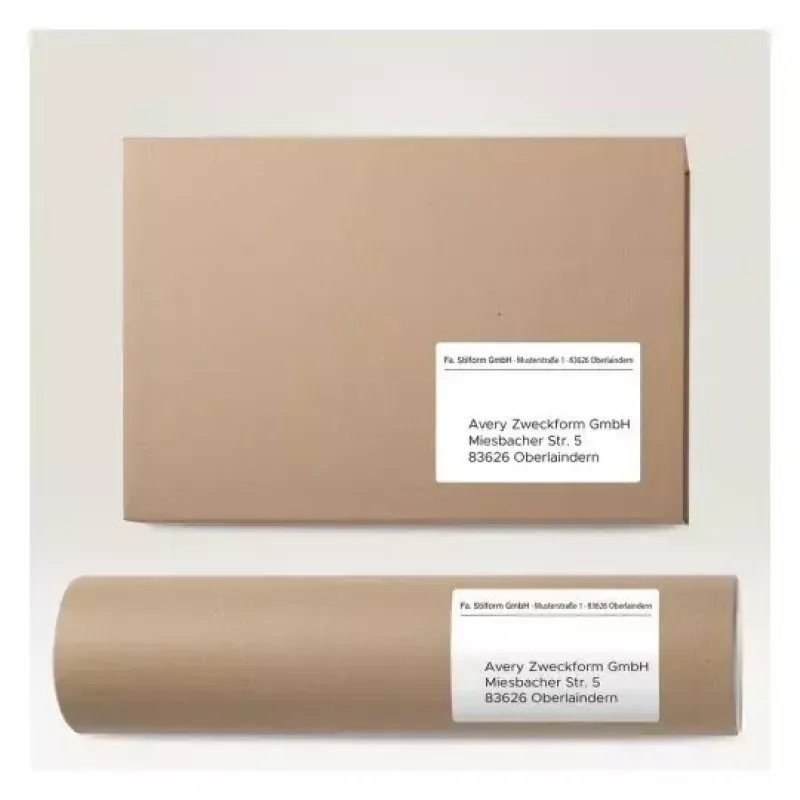 Avery Zweckform 6601 Universal-Etiketten, 105 x 148 mm, 65 Blatt (50+15), Ultragrip, randlos, weiß