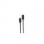 shiverpeaks BASIC-S USB-C-auf-USB-C-Kabel, USB 3.2 Gen 2x2, 100 W, 2 m