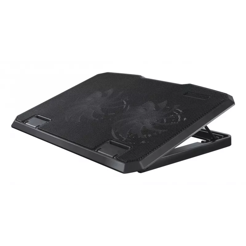 Hama 00126806 Black Metal Laptop-Kühler, neigbar, leise, 2 Lüfter, bis 40 cm (15,6 Zoll), Schwarz