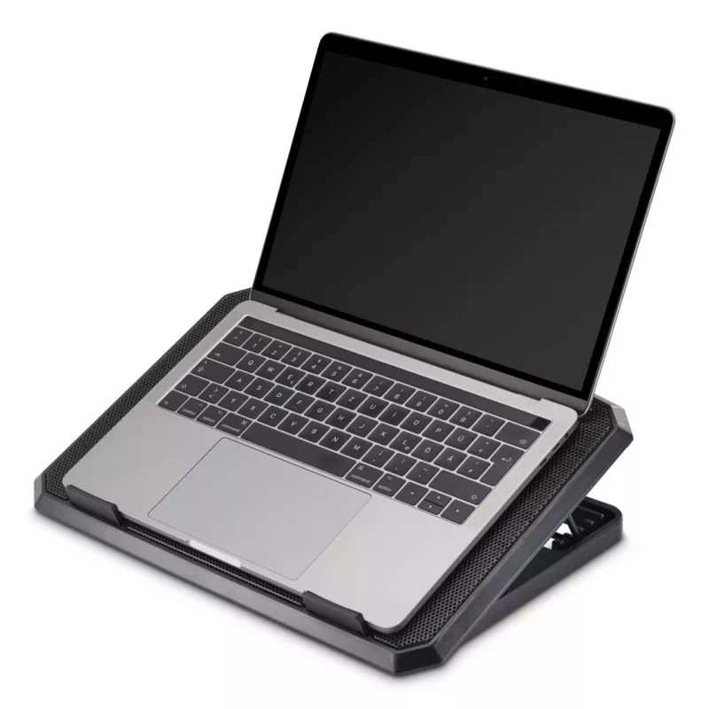 Hama 00126806 Black Metal Laptop-Kühler, neigbar, leise, 2 Lüfter, bis 40 cm (15,6 Zoll), Schwarz