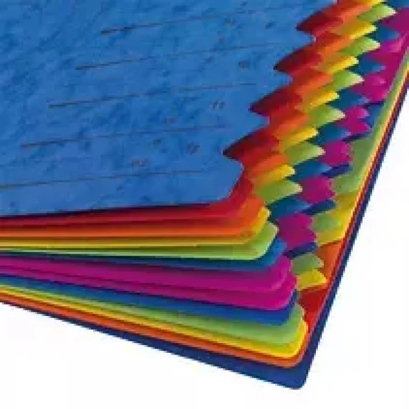 Herlitz 5001128 Sortierfächer A4, 12 Fächer, Blau, 2 Gummibänder