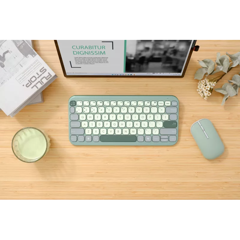 ASUS Marshmallow KW100 90XB0880-BKB200 Tastatur, QWERTZ deutsches Layout, Scherenmechanik, Copilot-Taste, grün