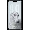 Smartphone Apple iPhone 17 Pro Max 6,9 Zoll 256 GB Silber